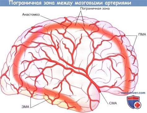 Представление о стенозе ВСА справа