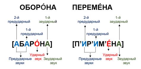 Предударный заударный: определение и примеры