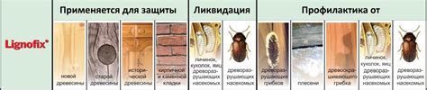 Преимущества антисептирования древесины