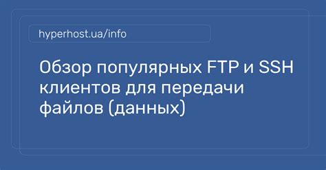 Преимущества использования FTP для передачи данных