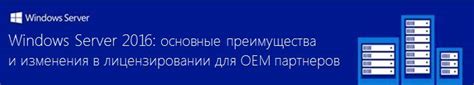 Преимущества и применение OEM Windows