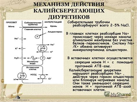 Преимущества калийсберегающих диуретиков перед другими мочегонными средствами