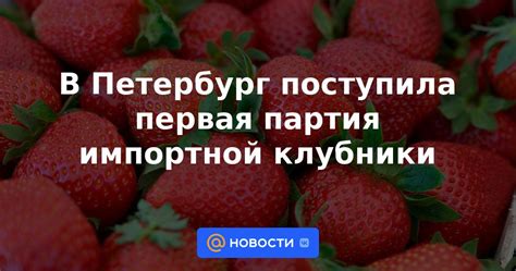 Преимущества местной клубники перед импортной