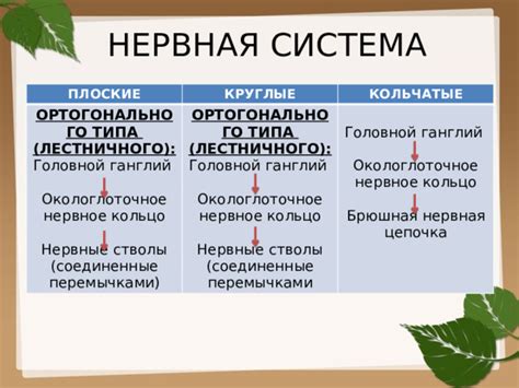 Преимущества ортогонального типа