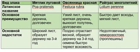 Преимущества партерного газона перед другими видами покрытия