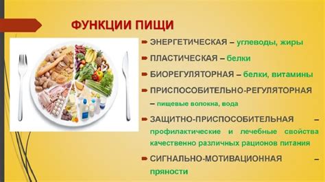 Преимущества применения сокращения veg в питании