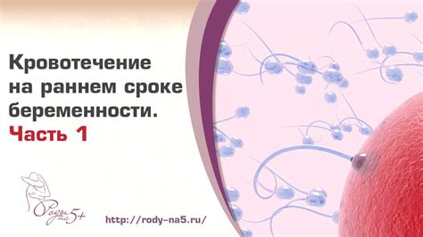 Преимущества своевременного посещения поликлиники во время беременности