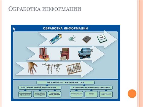 Преимущества систематизирования информации в повседневной жизни