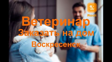 Преимущества сознательной заботы о питомце