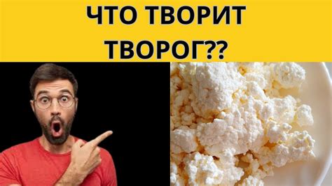 Преимущества цельного творога для здоровья