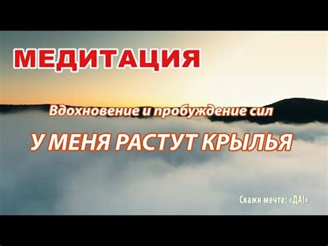 Преодолевайте препятствия: Из них растут крылья