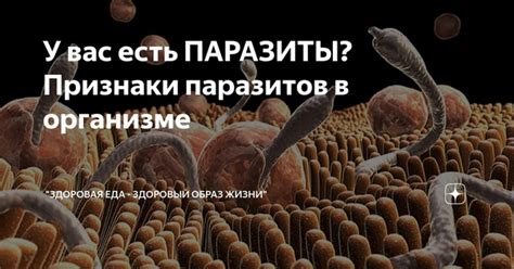 Признаки наличия черной плесени