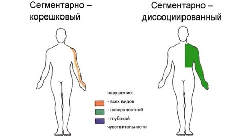 Признаки нарушения чувствительности