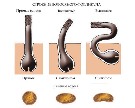 Признаки пористого волоса