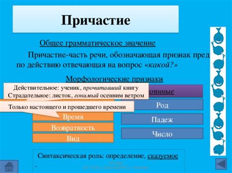 Признаки предмета по действию: определение и значение