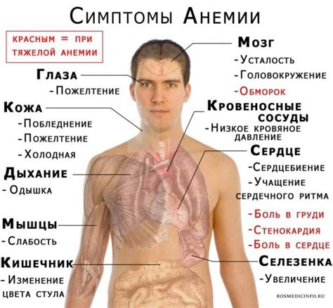 Признаки предсказуемого человека