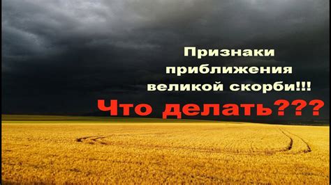 Признаки приближения ветра: что говорят нам окружающие объекты