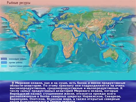 Признак предстоящих перемены: толкование сна о безжизненном хищнике в широтах моря