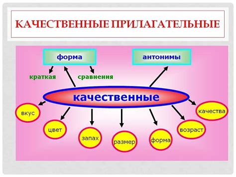 Прилагательное – описание и характеристика предмета