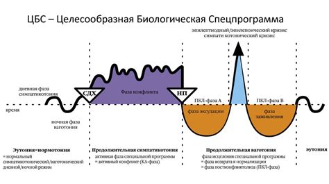 Применение ГНМ в диагностике