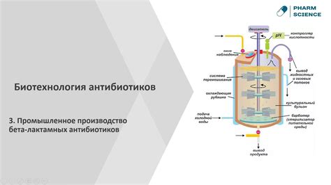 Применение бета-лактамных антибиотиков