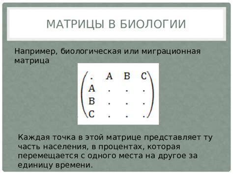 Применение матриц в различных областях