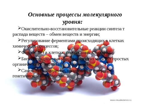 Применение молекулярного уровня