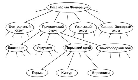 Применение полного дерева в информатике