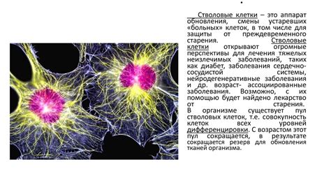 Применение полых клеток