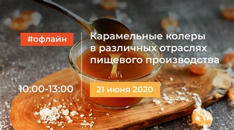 Применение риш в различных отраслях