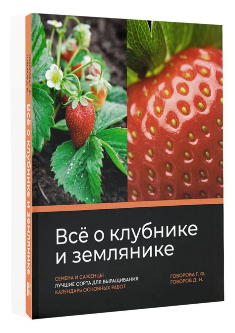 Применение снов о малине и клубнике для прогнозирования и принятия решений