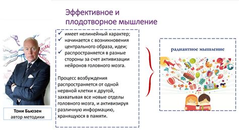 Применение схемы опыта в образовательном процессе