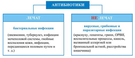 Применение тетрациклиновых антибиотиков в медицине