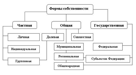 Применение формы собственности прочерк