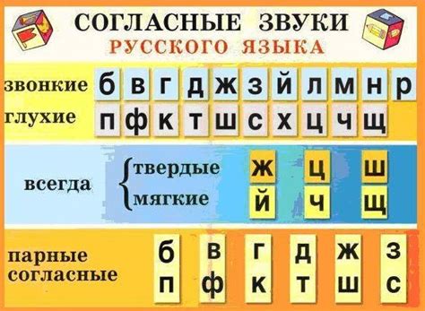 Применение фрикативных согласных звуков в русском языке