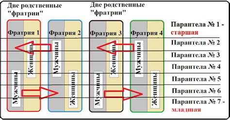 Примеры Фратрий в мире