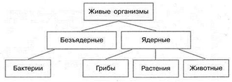 Примеры видовых названий