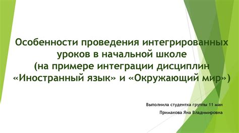 Примеры интегрированных уроков в университете