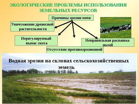 Примеры использования веб-ресурсов Федерации