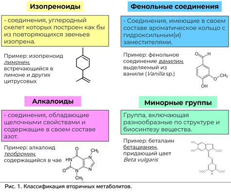 Примеры использования вторичного радикала