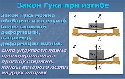 Примеры использования морды протокольной в реальной жизни