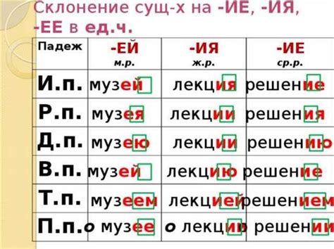 Примеры использования разных падежей в предложениях