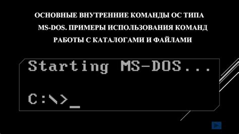 Примеры использования DOS