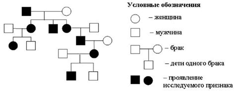 Примеры исследований автосомного наследования