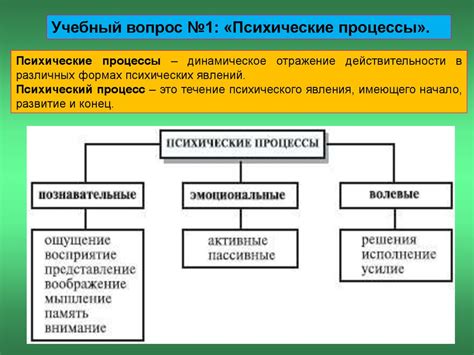 Примеры и формы проявления