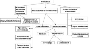 Примеры лексических групп