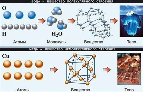 Примеры молекулярного и немолекулярного строения в природе