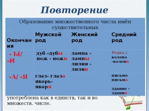 Примеры образования множественного числа существительных