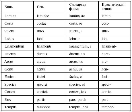 Примеры применения малуменсе латынь