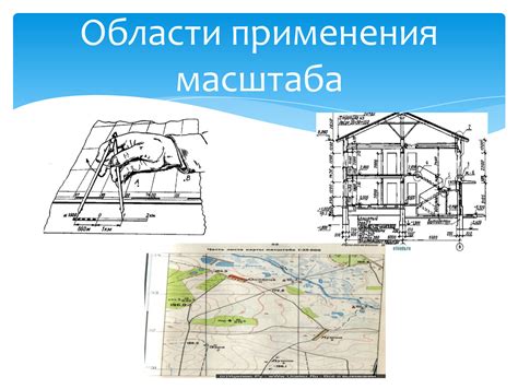 Примеры применения масштаба линейки в различных областях